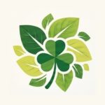 Konoha🍀